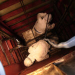 食品工場の様子2